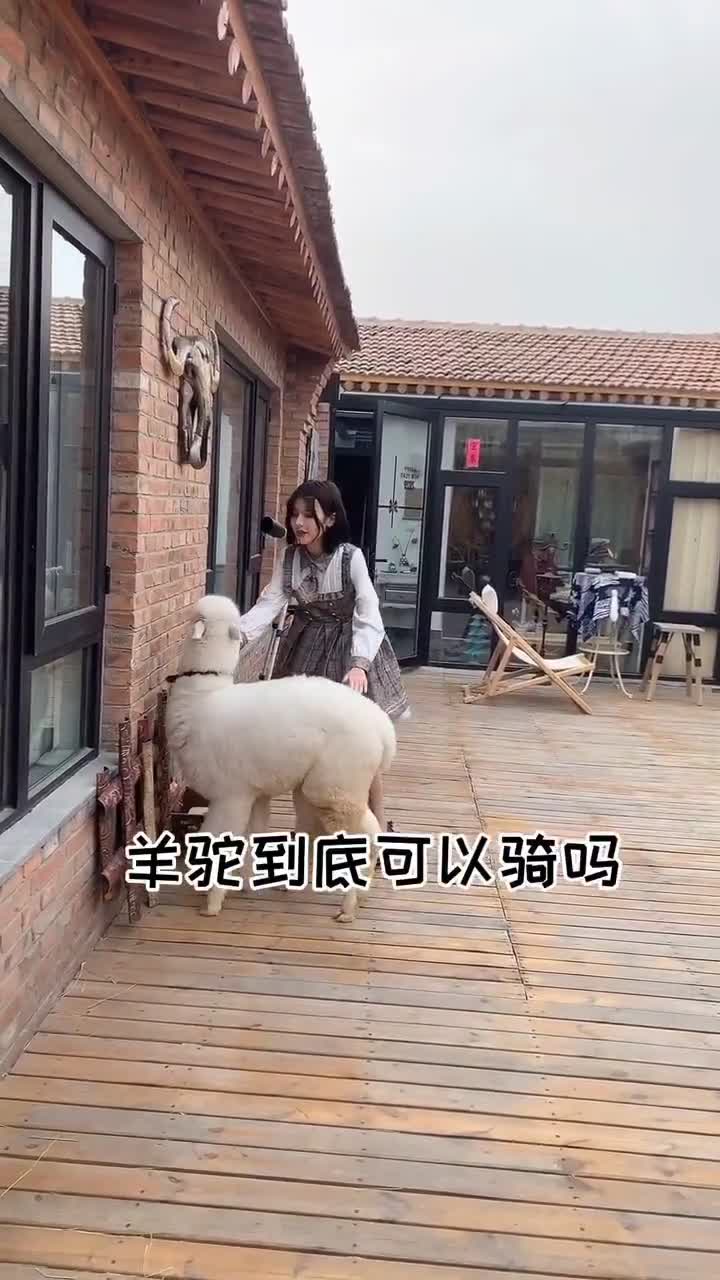 还有吗
