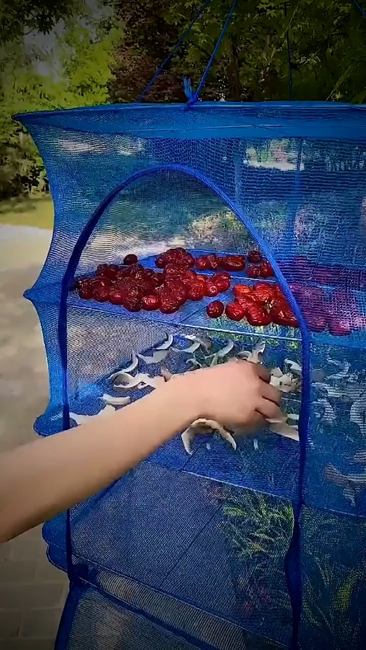 折叠晒鱼网