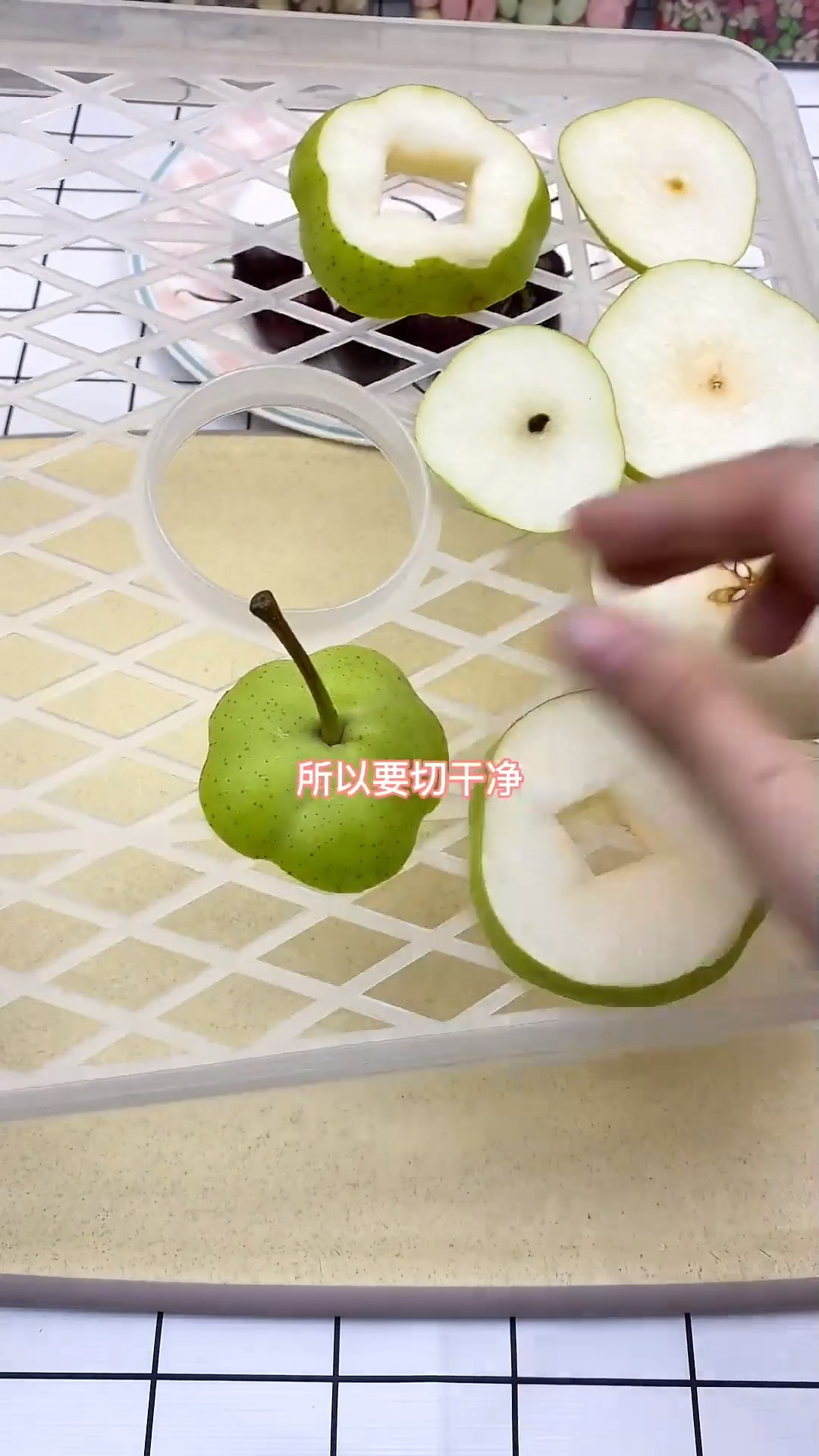 想不到最后的大老鼠居然是……#仓鼠#金丝熊#通心粉鼠