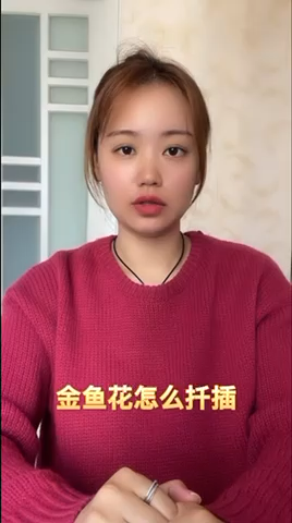 金鱼花怎么扦插 