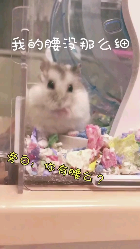 也太可爱了吧!要不要进来看看