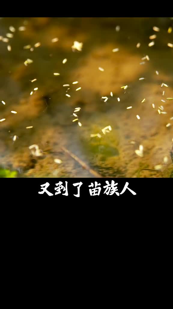 #舌尖上的地球村到位!隔着屏幕都能嗅到一股酸辣气息,这样的腌鱼也太下饭了～