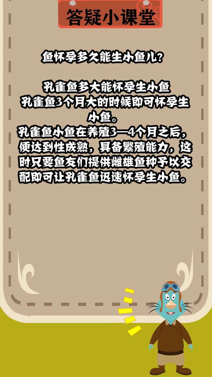 鱼怀孕多久能生小鱼儿?