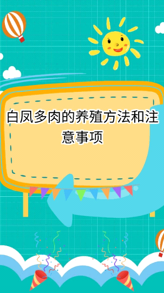 白凤多肉的养殖方法和注意事项