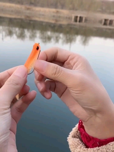 #钓鱼技巧#钓鱼:曲柄钩挂T尾的方法