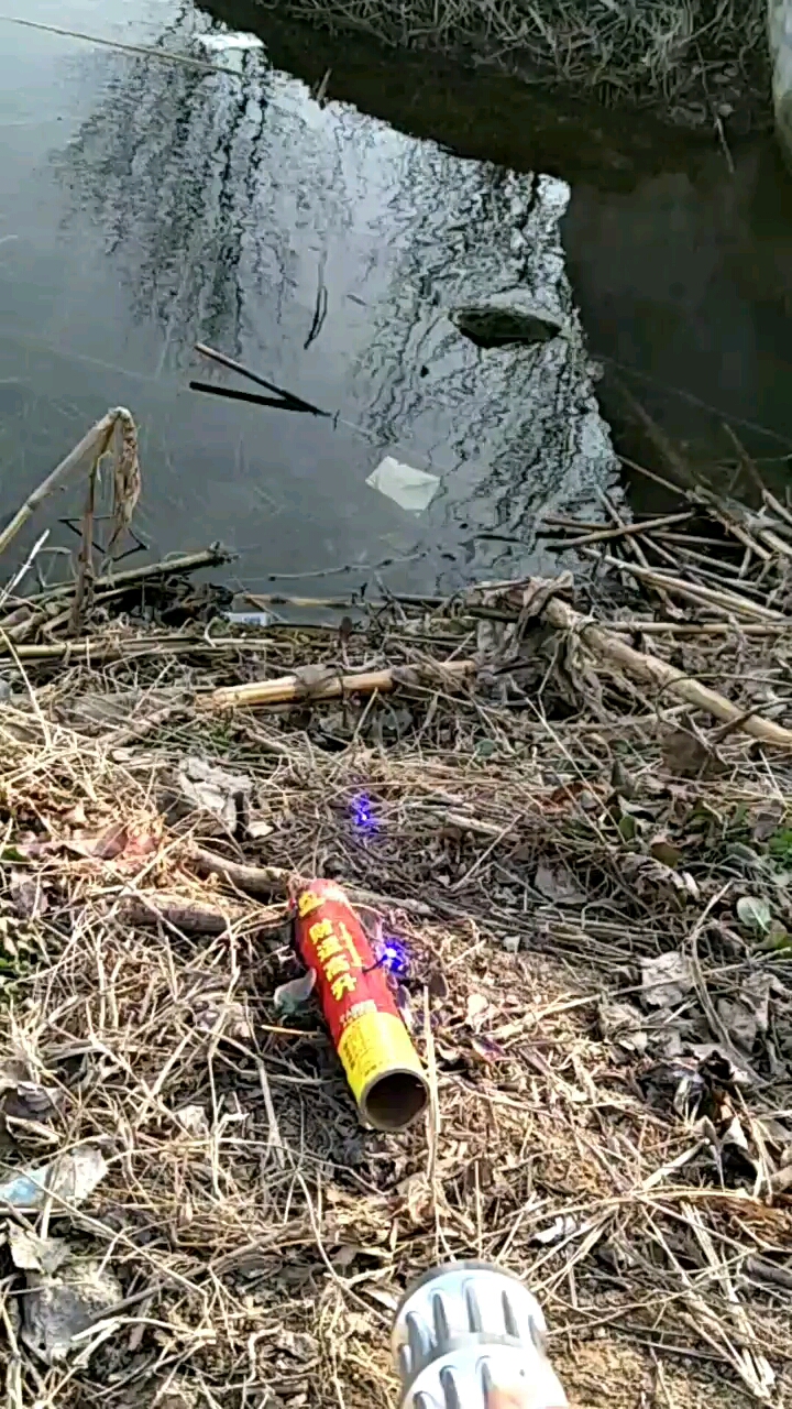 高炮炸鱼