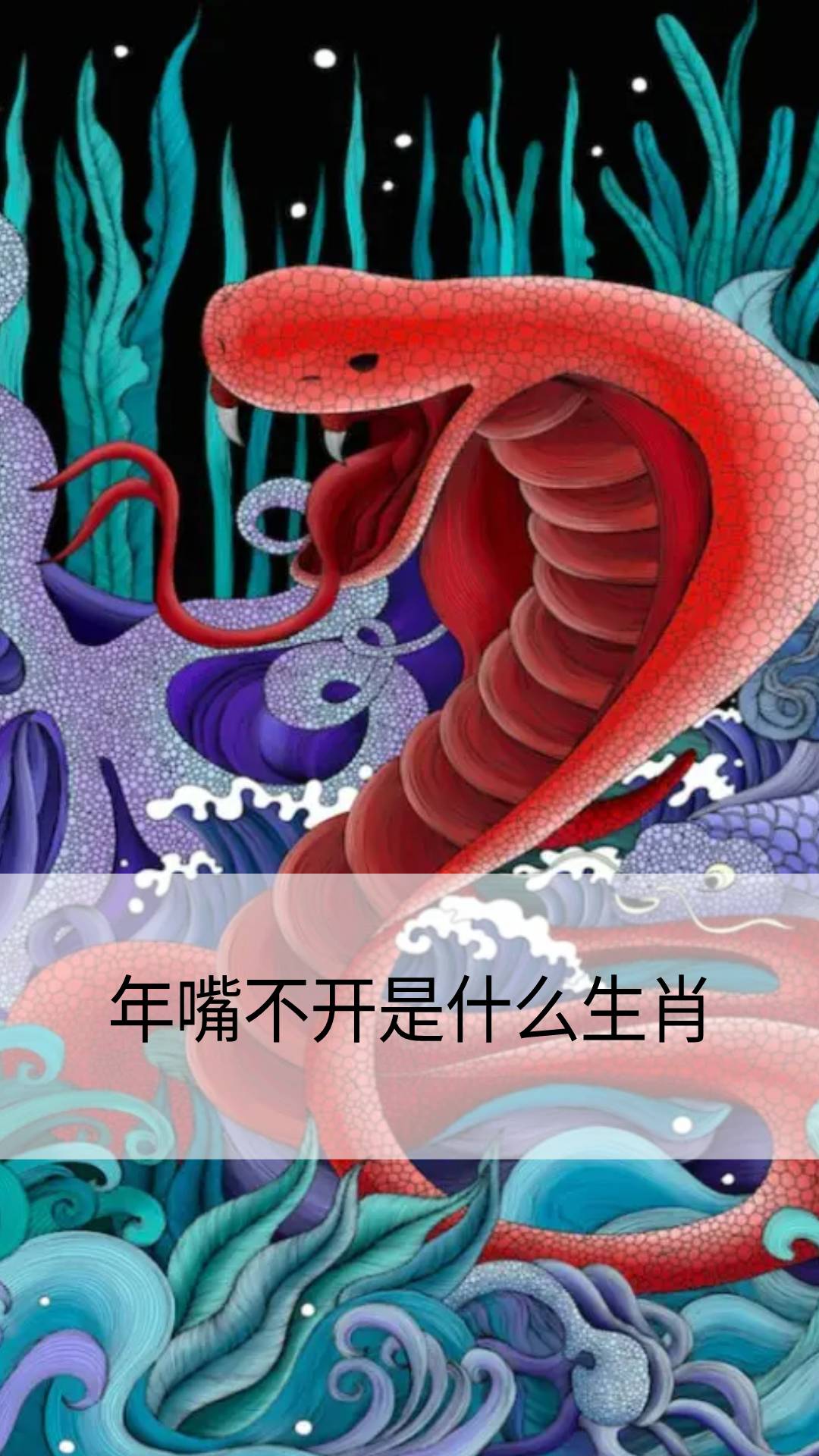 年嘴不开是什么生肖