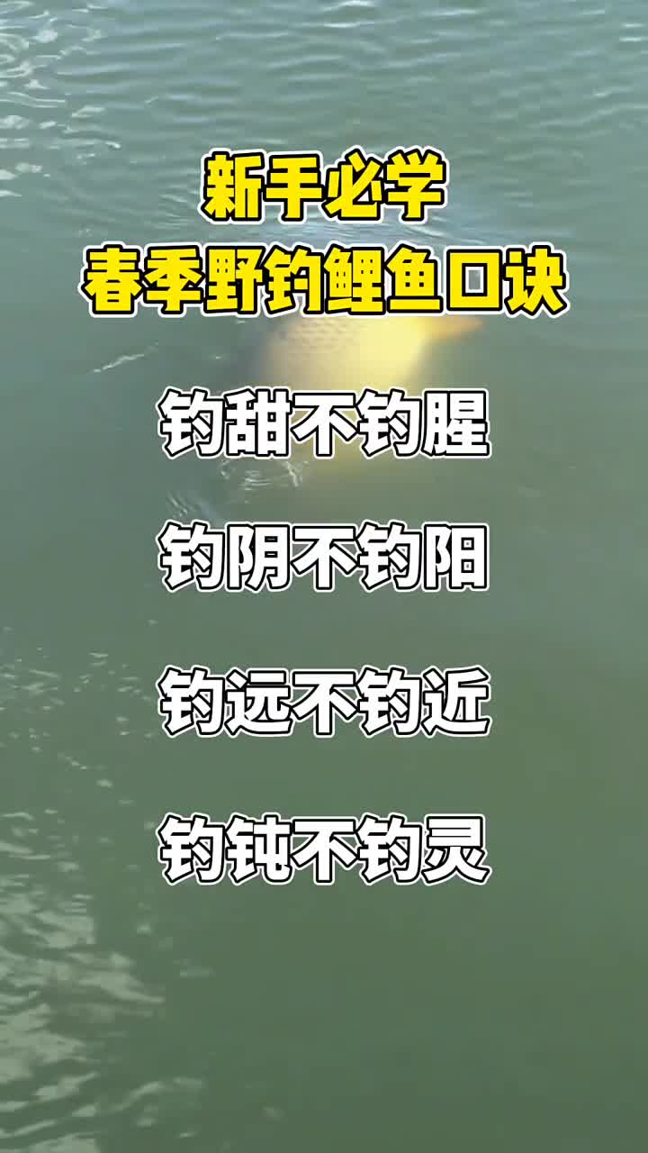 新手钓友必须知道的野钓鲤鱼口诀,快收藏起来吧。