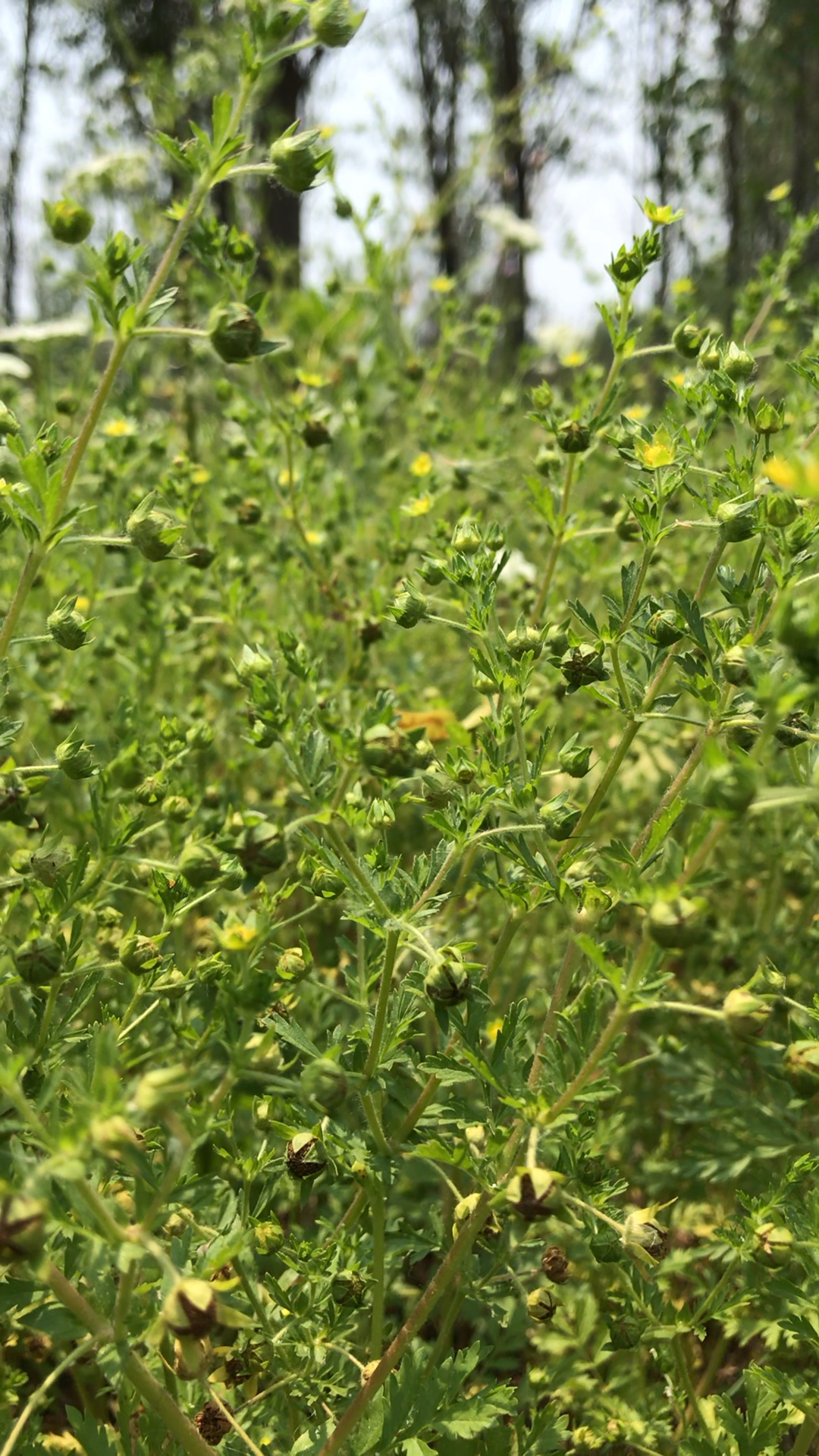 一日之际在于晨,该起床奋斗干活了