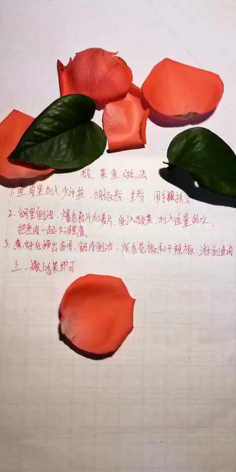 好吃的酸菜鱼做法