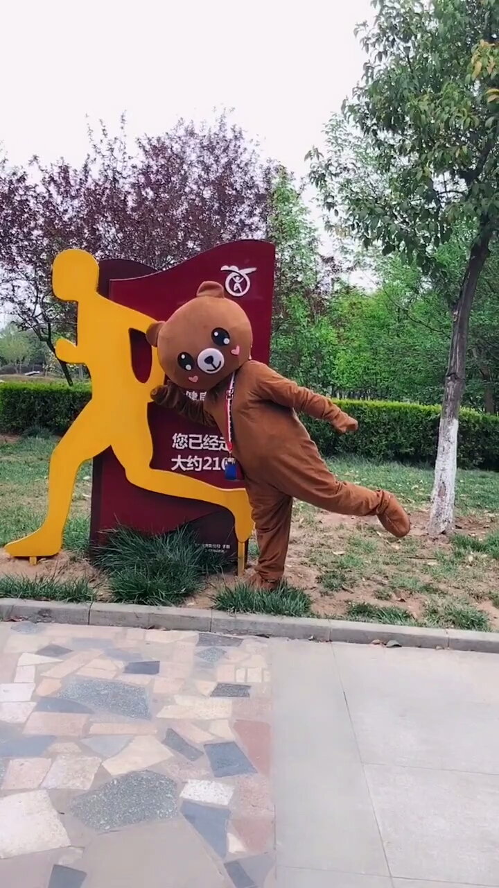小熊假装是照片 