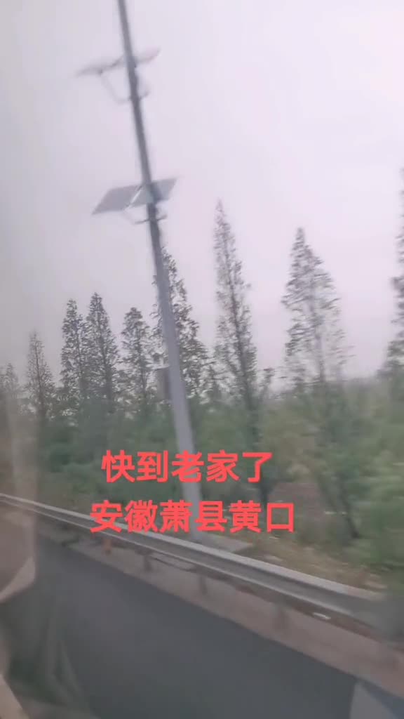 回到家我要吃萧县的葡萄黄口的夜市马家手工面皮蛙鱼烧饼加狗肉新庄的羊头和钳子
