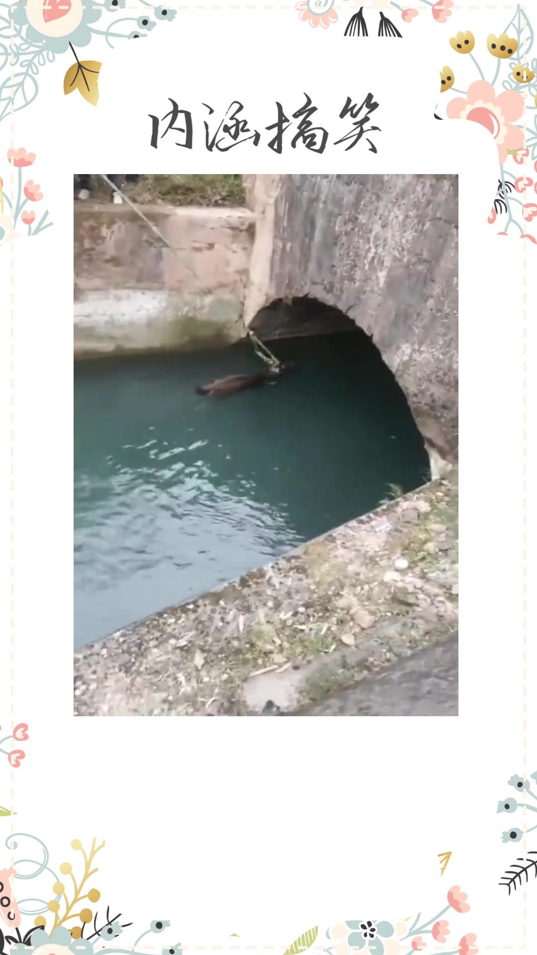 #搞笑段子#河里钓上来鱼没什么稀奇的,但是钓上来头鹿,真是第一次见啊!