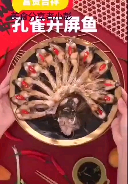 孔雀开屏鱼