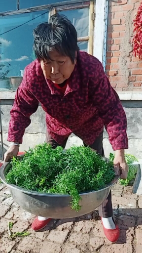 腌点儿芥菜英子咸菜。冬天炖大豆腐吃。