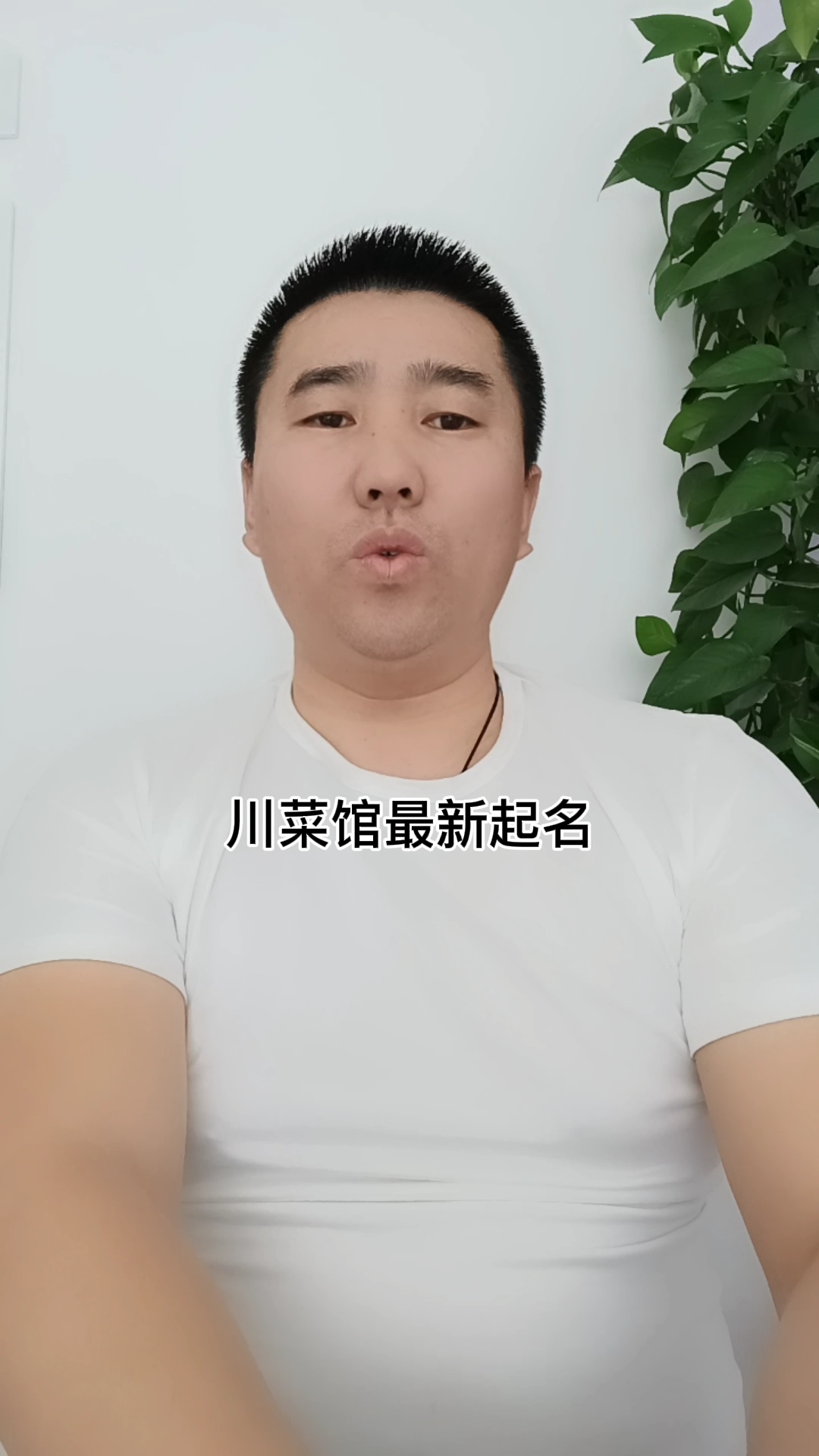 川菜馆最新起名字