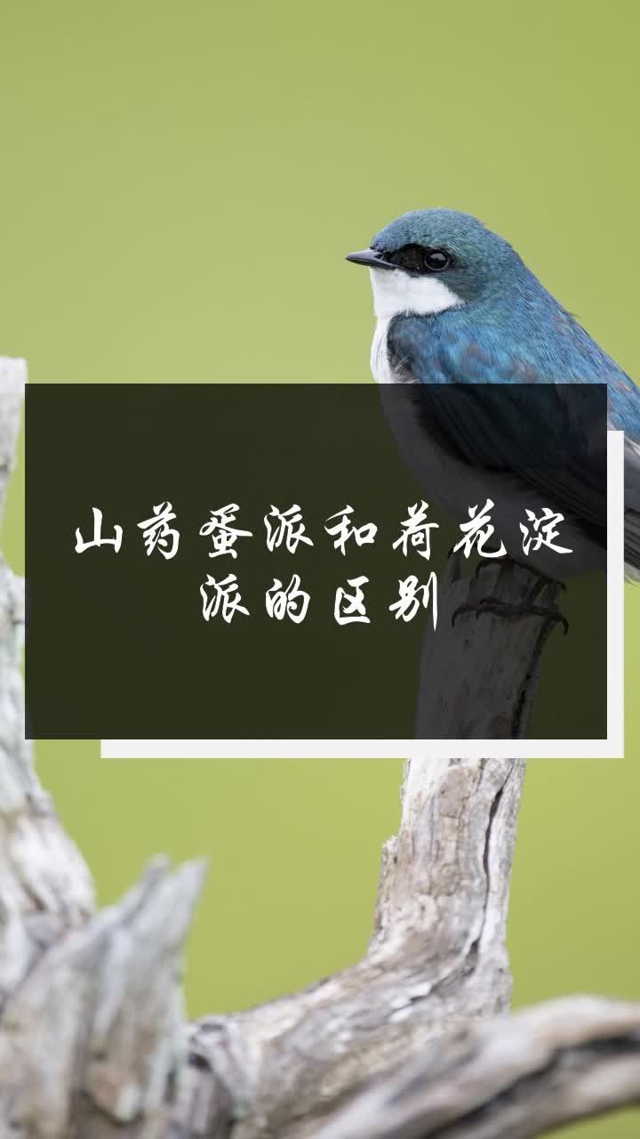 山药蛋派和荷花淀派的区别