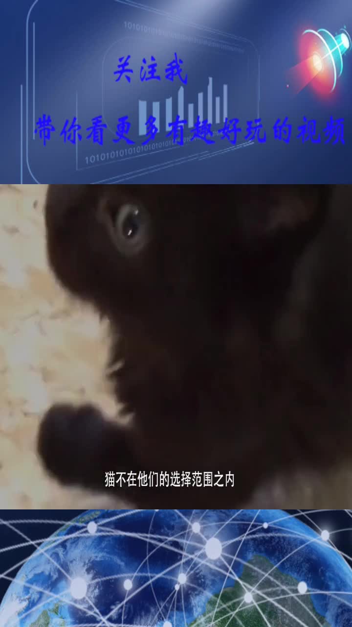 越南人每年吃掉400万只猫咪,为什么越南人热衷于吃猫肉?