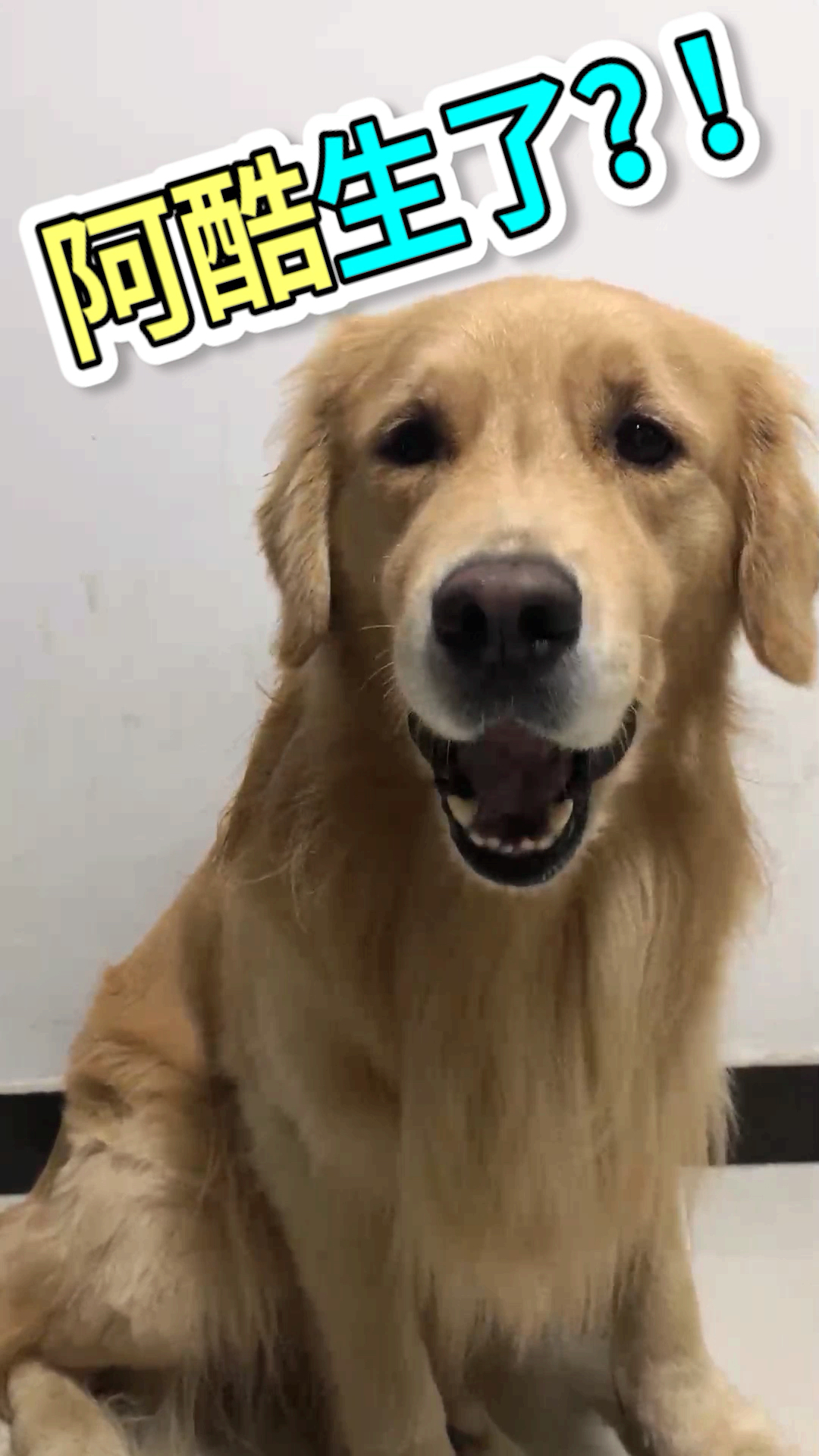 看看流言蜚语都是怎么来滴