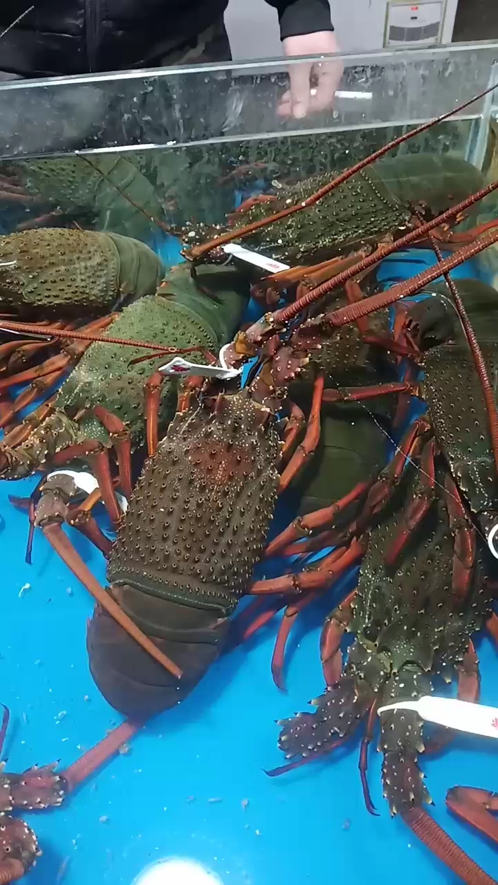 好大的龙虾该怎么吃?