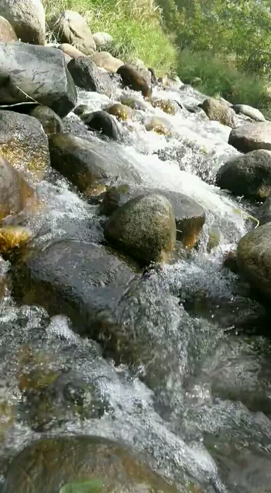 山涧细水清,花鸟簇鱼虫!