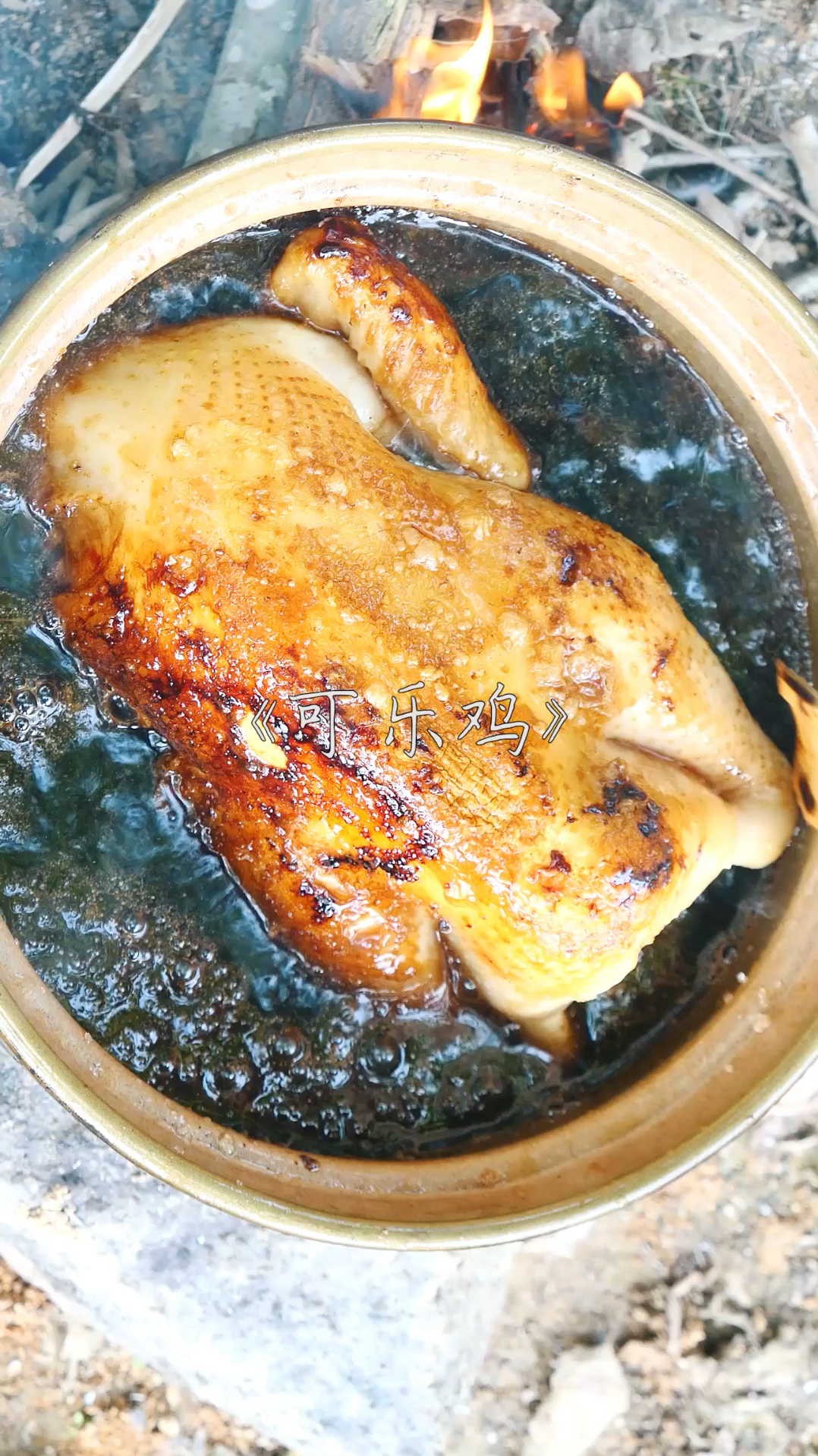 抓只走地鸡做可乐鸡,鸡肉吸收了可乐的精华,变得更好吃了