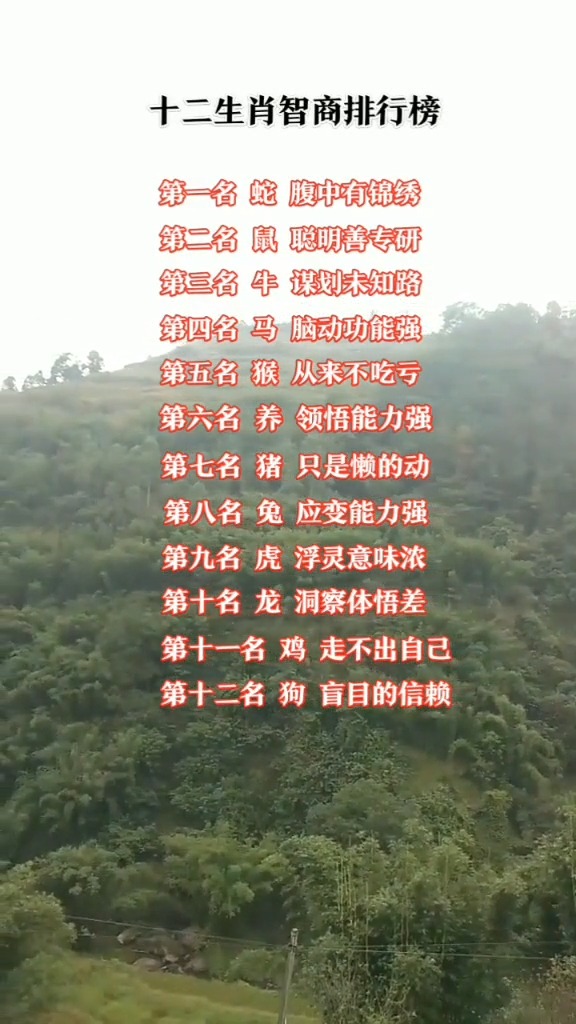 #文字控#生肖