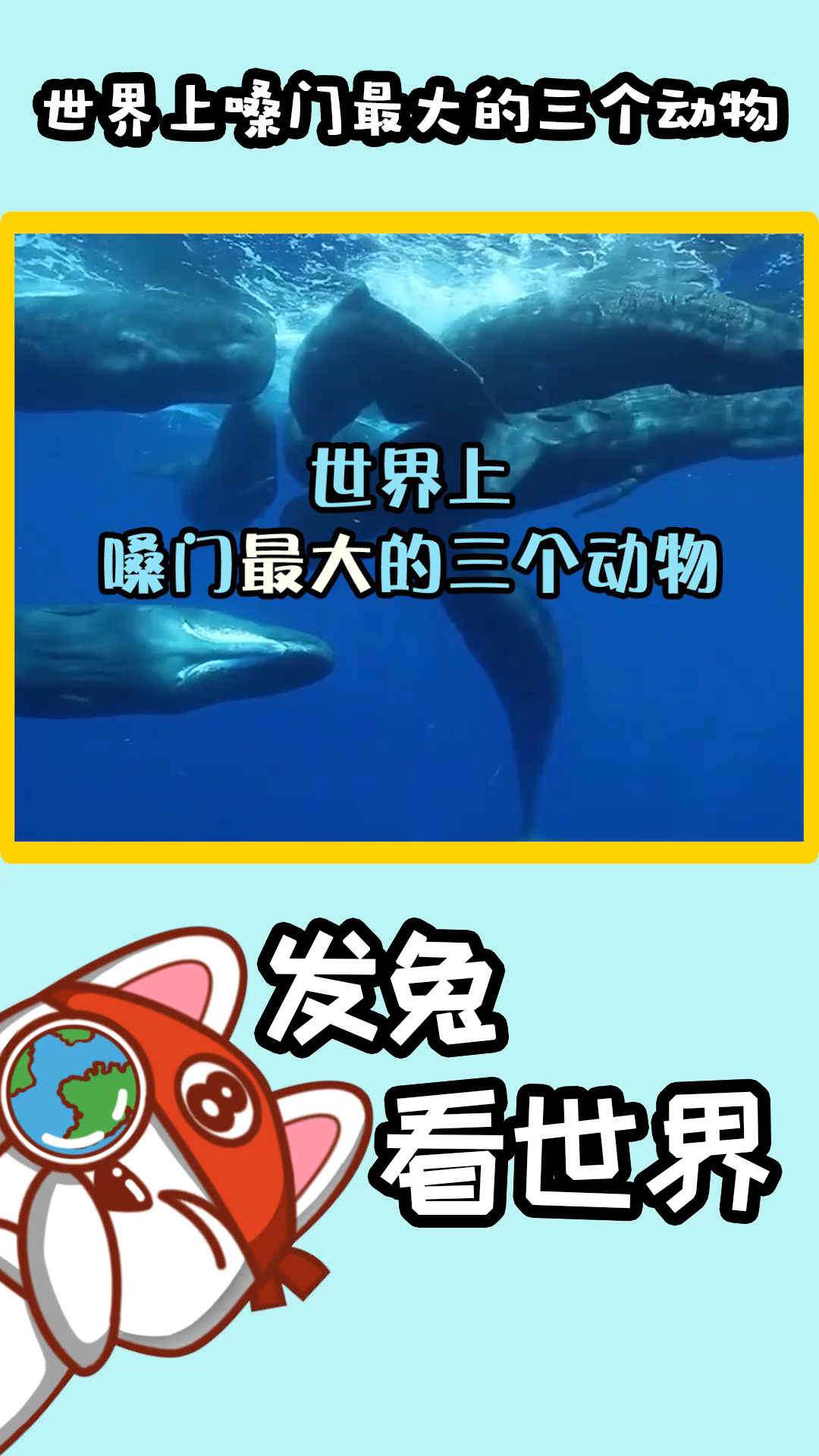 #我家萌宠成精了#世界上嗓门超大的动物,河东狮吼太弱,距离4000米都能听到声音 