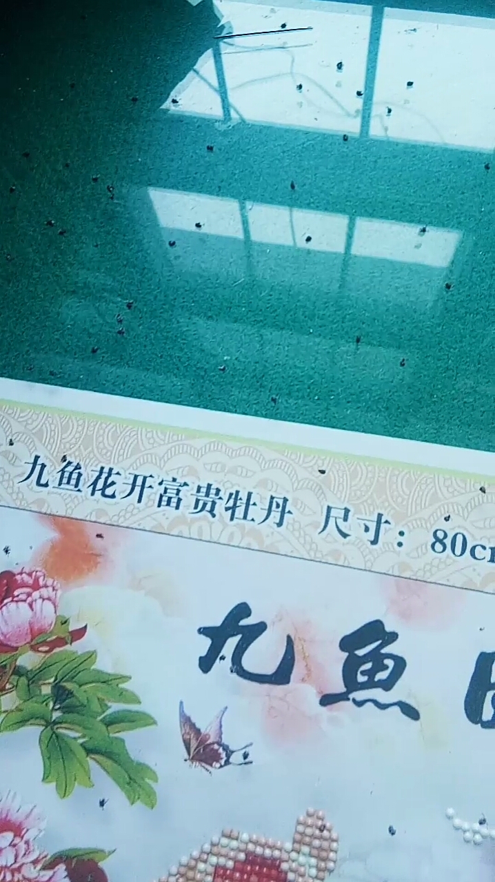 九鱼花开富贵牡丹尺寸:80c