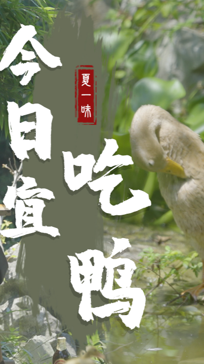 #美食#秋日宜吃秋鸭, 做了一桌江湖味的全鸭宴。【二】