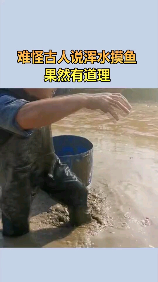难怪古人说浑水摸鱼,果然有道理