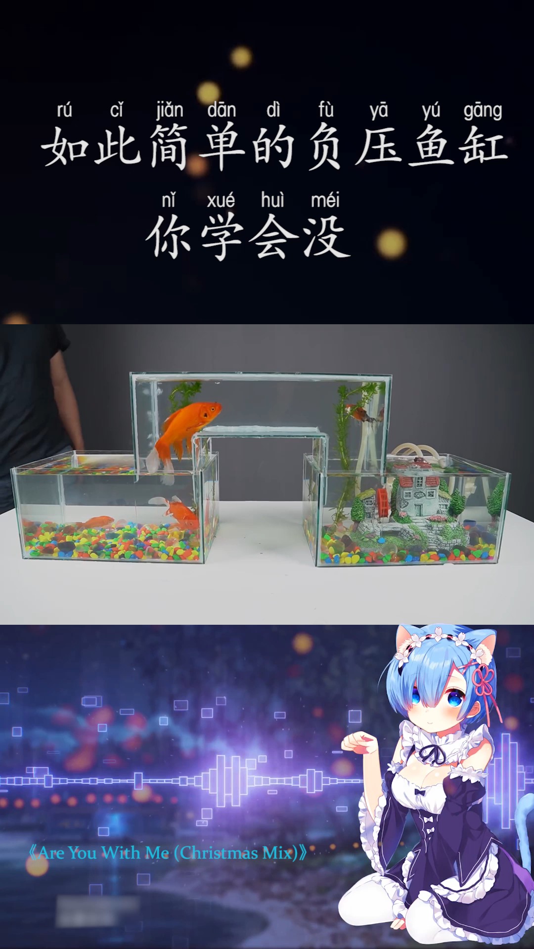 #创意手工DIY#美观的负压鱼缸,没想到制作这么简单
