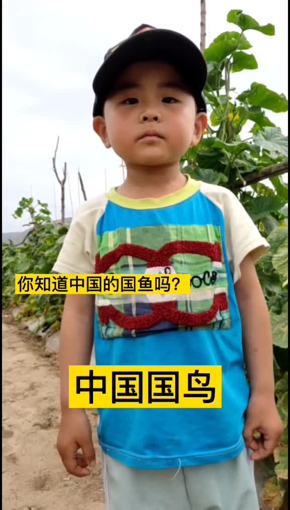 中国国鱼你知道吗