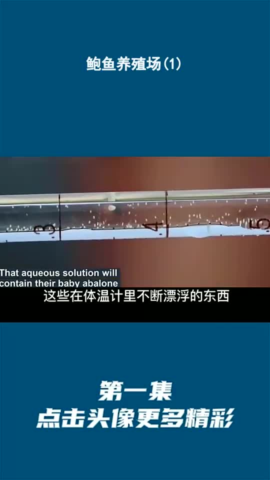 鲍鱼养殖场(1)