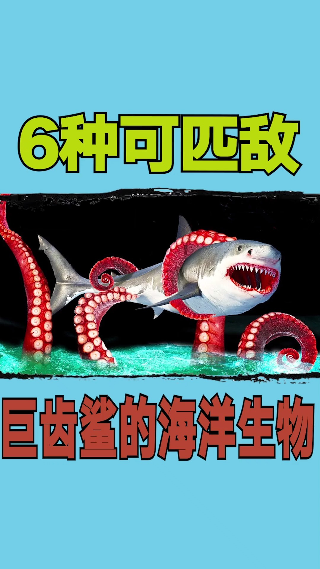 #海洋生物#6种可匹敌巨齿鲨的海洋生物
