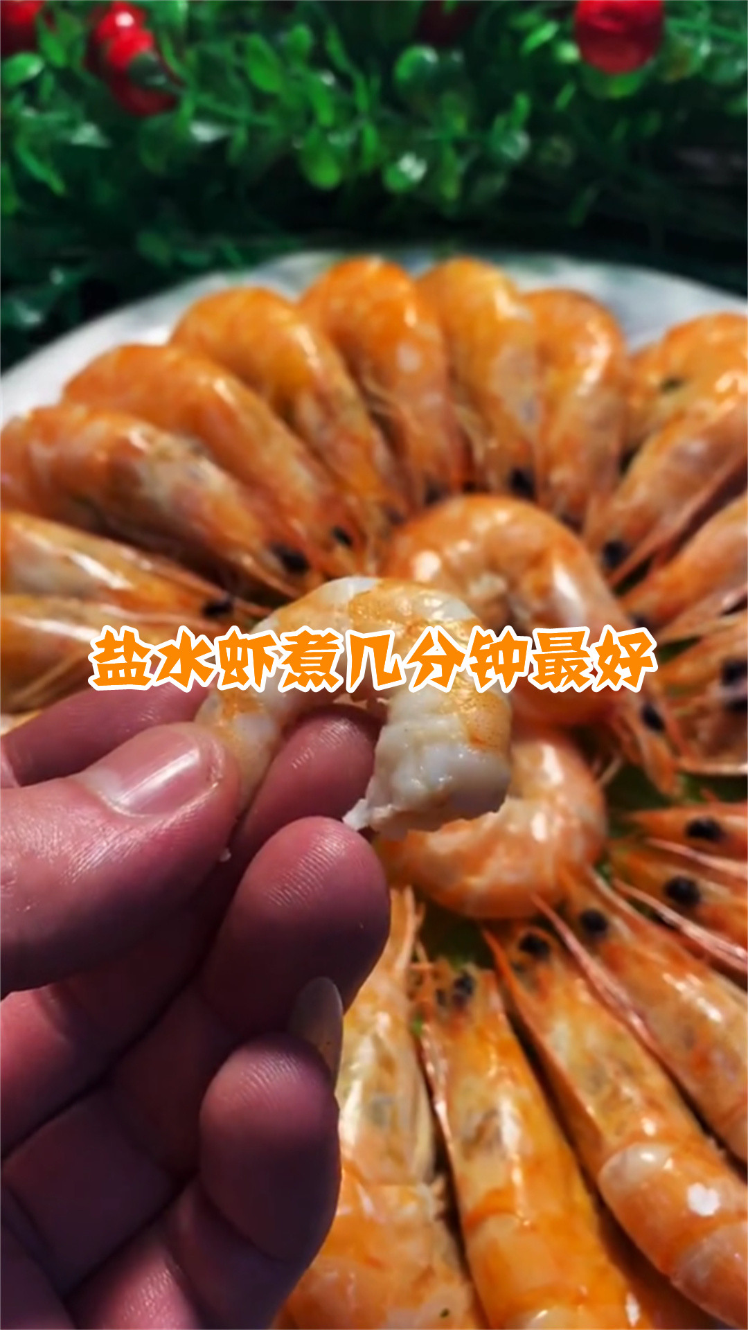 盐水虾煮几分钟最好
