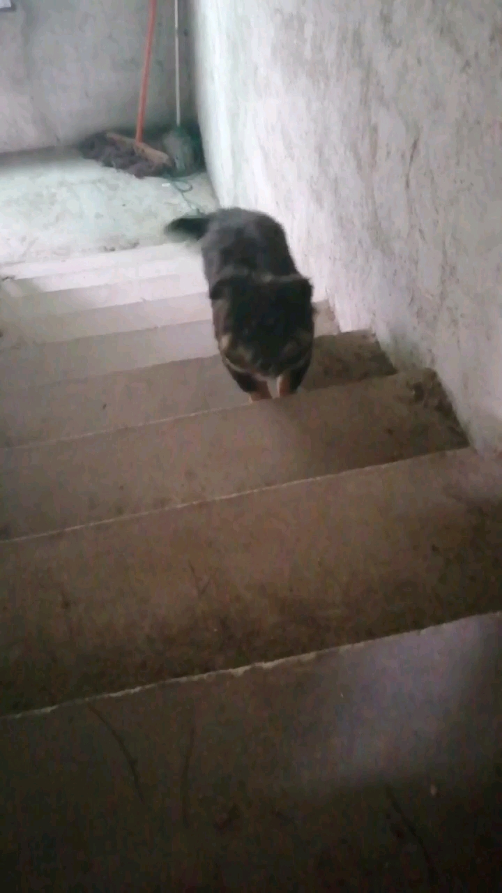 逗我呢,爱来不来