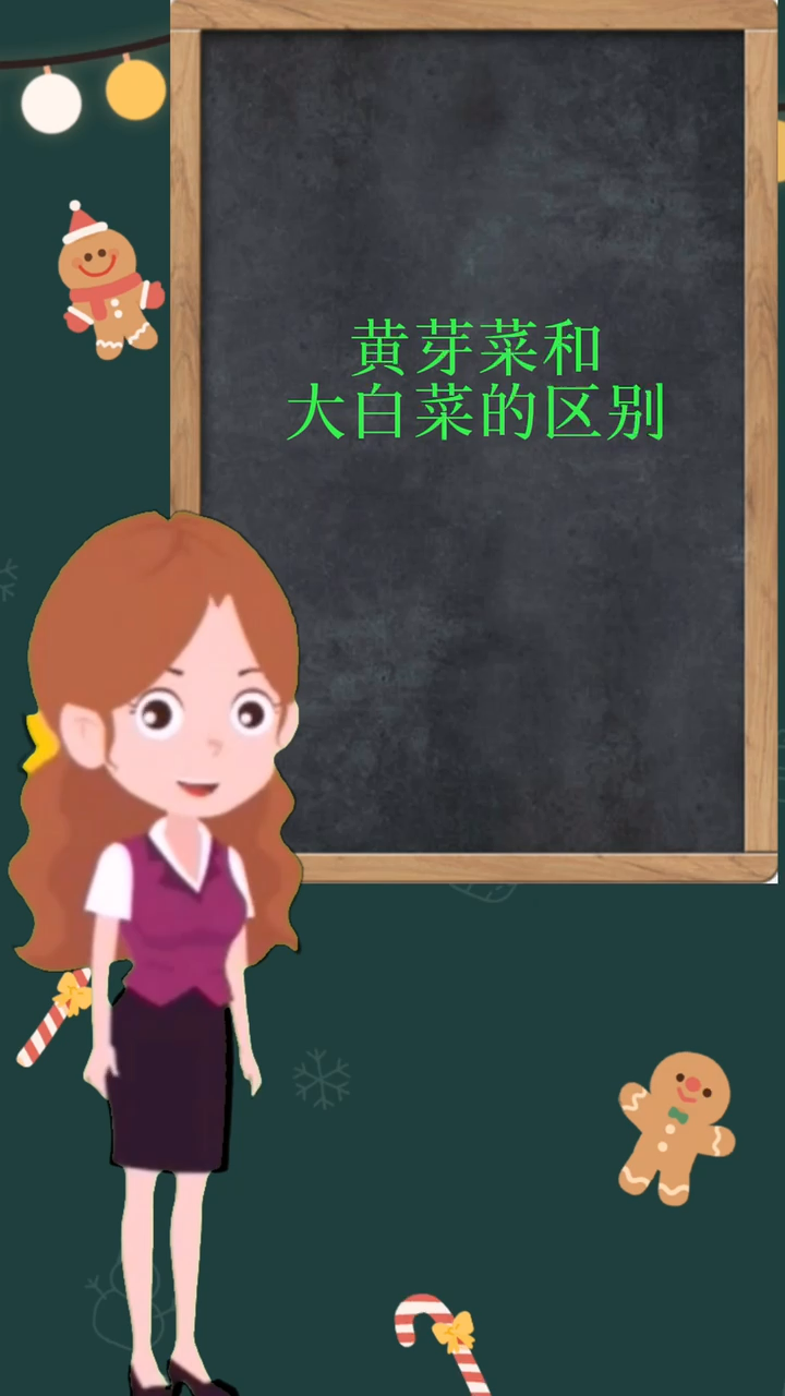黄芽菜和大白菜的区别