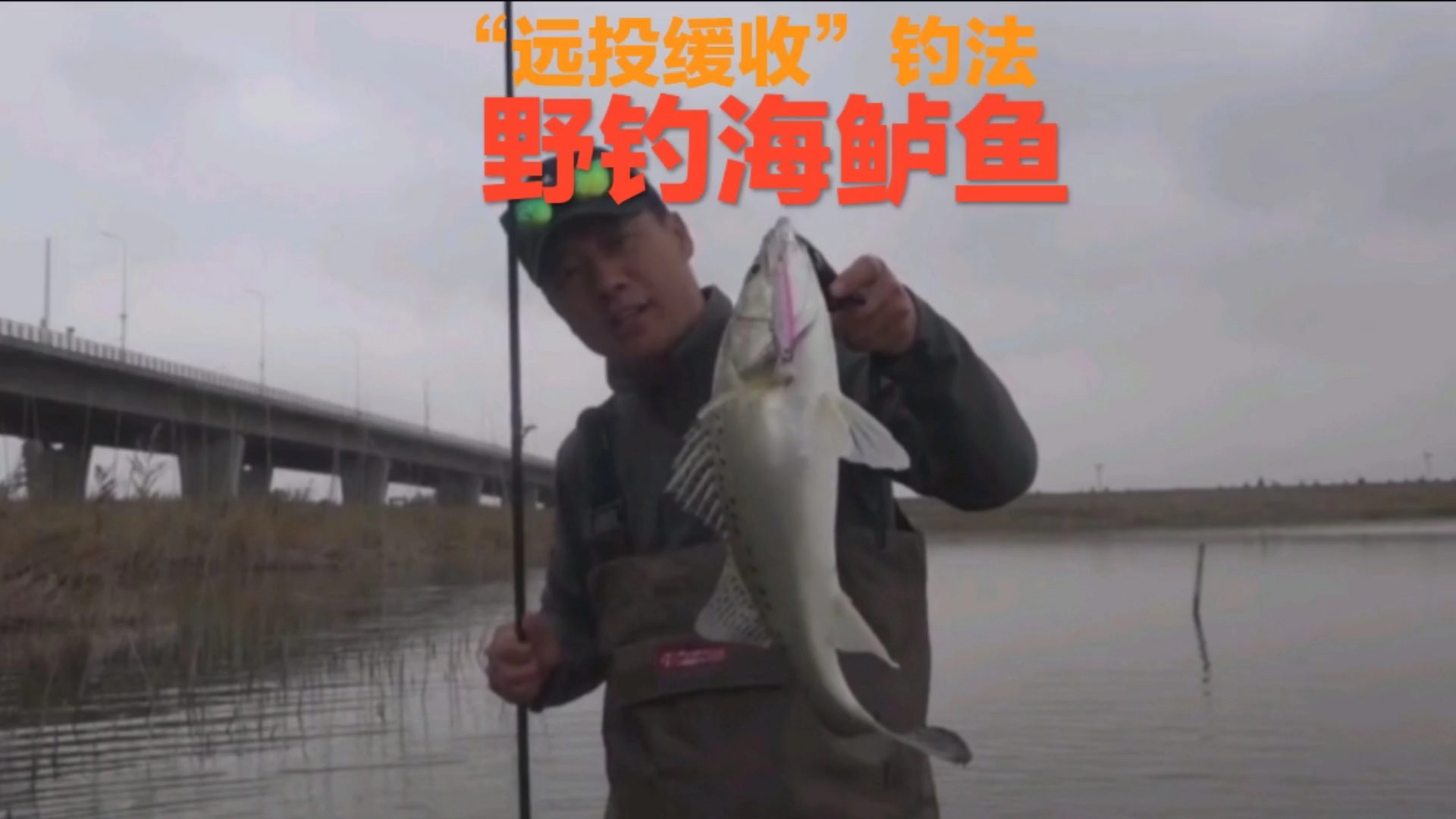#路亚鲈鱼#路亚“远投缓收”钓法,野钓海鲈鱼,沉水米诺作钓是最好的方法