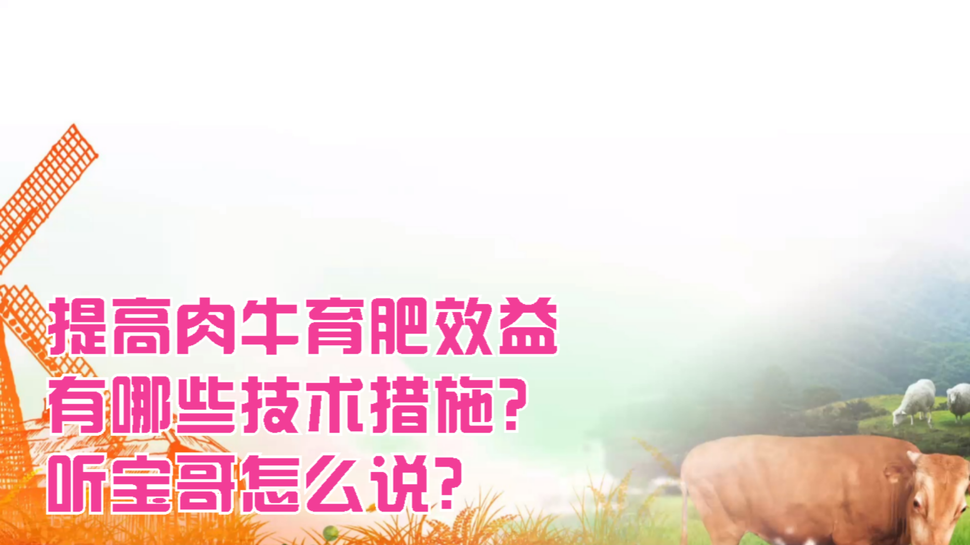 提高肉牛育肥效益有哪些技术措施?听宝哥怎么说?