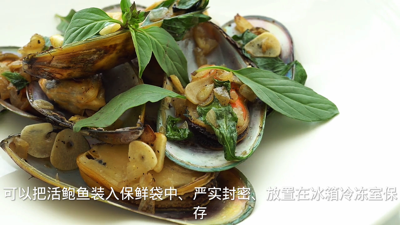 活鲍鱼第二天吃冷藏还是冷冻?