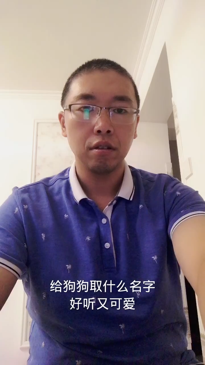 给狗狗取什么名字好听又可爱。