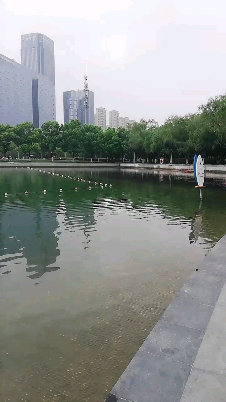 天鹅湖畔
