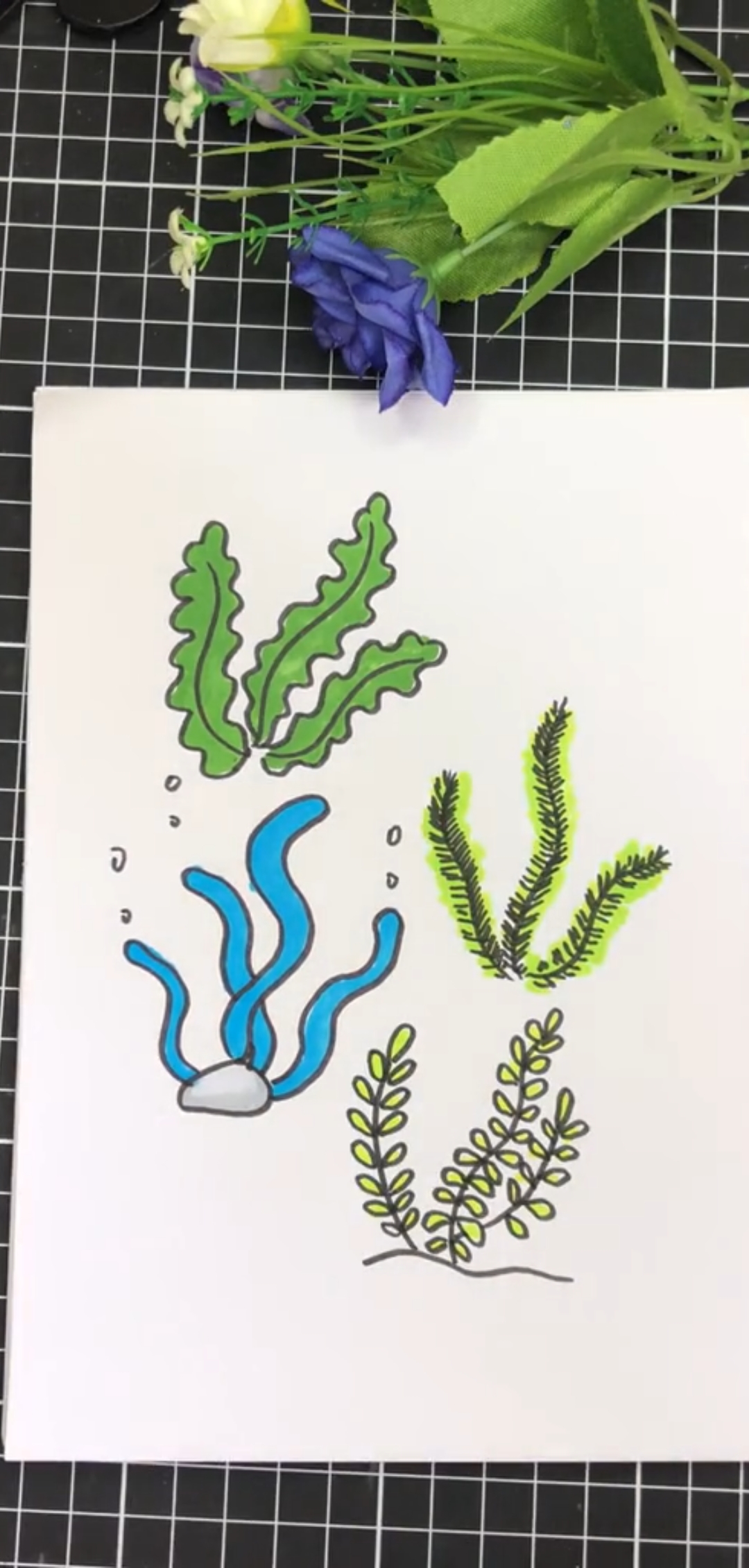 #全民画画#海草简笔画