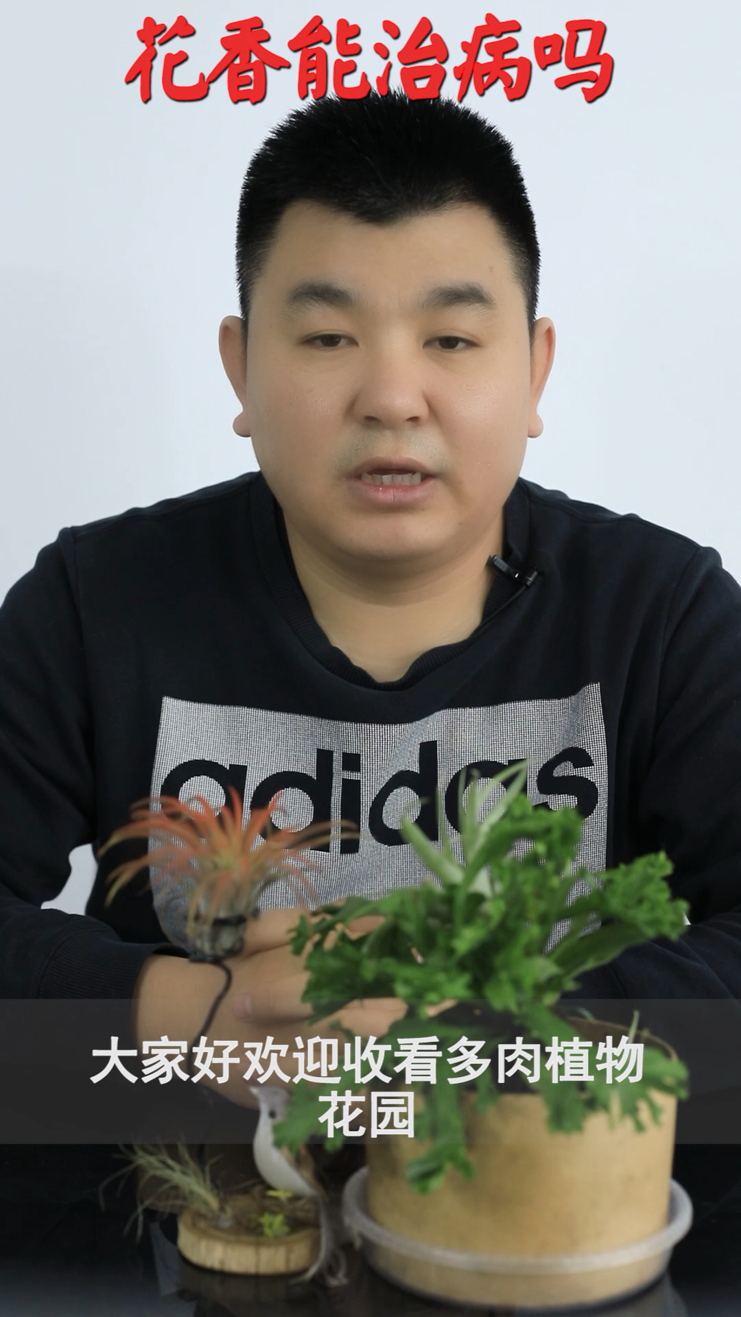 常闻花香据说可以治病