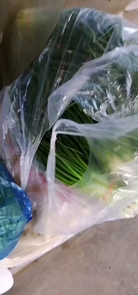 #我要上热门#各种各样的新鲜蔬菜