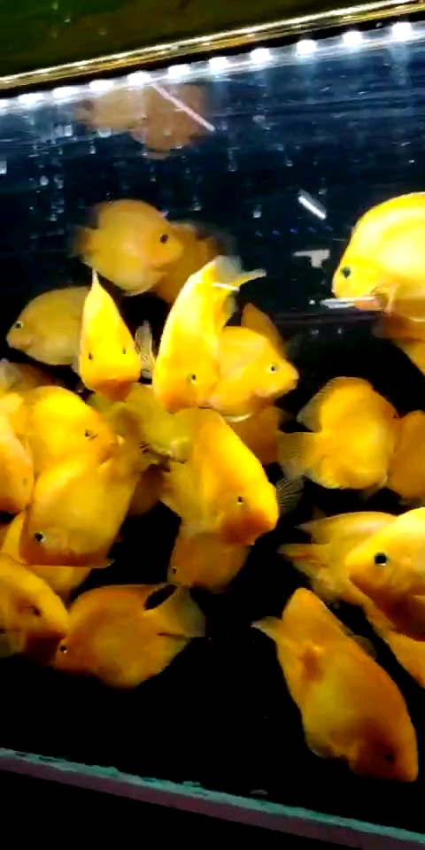 分享视频