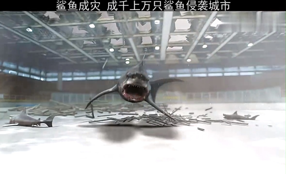 #精彩影视#城市天降鲨鱼,可是歪果仁好像并不害怕