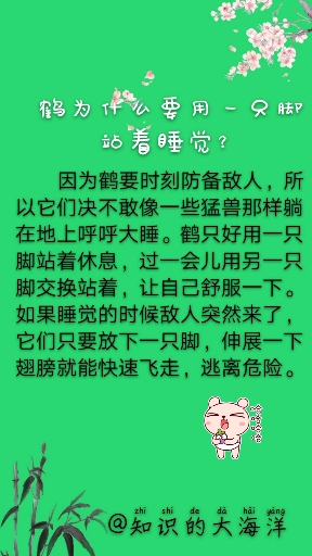 #每天一点冷知识#鶴为什么要一只脚站着睡觉？