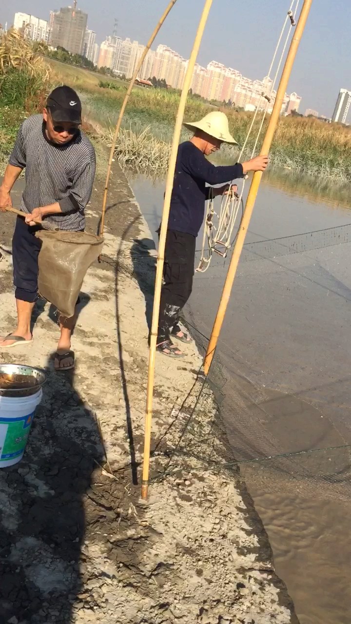 没想到这大网也有搬虾米的时候